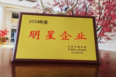 新春新景新气象 | 南宫ng28在平湖三干大会上喜摘荣誉！